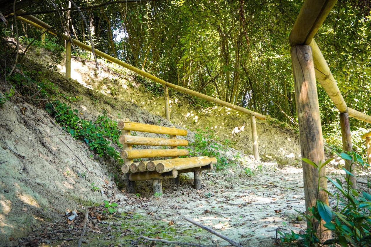 Arpino 1870 Bed & Breakfast מראה חיצוני תמונה